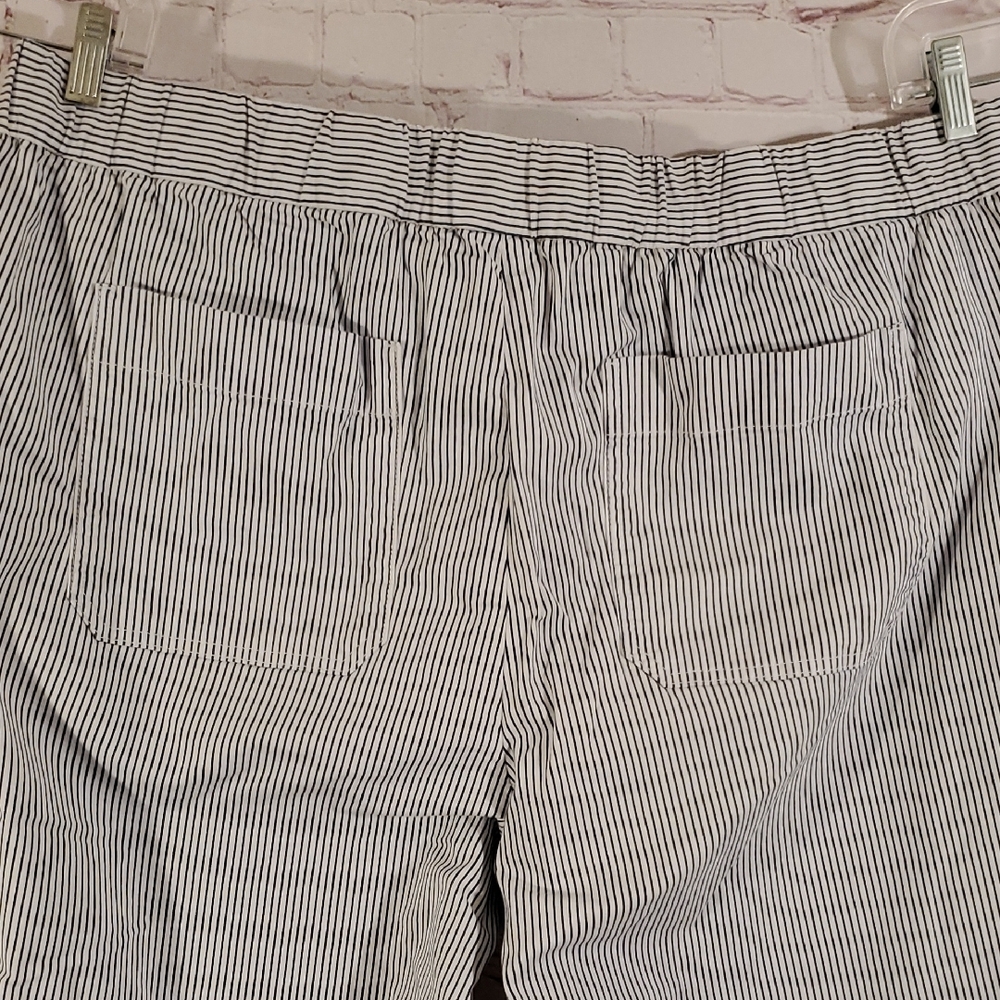 Talbots Blue And White Striped Cropped Pants Pockets Size 2X - Picture 6 of 8